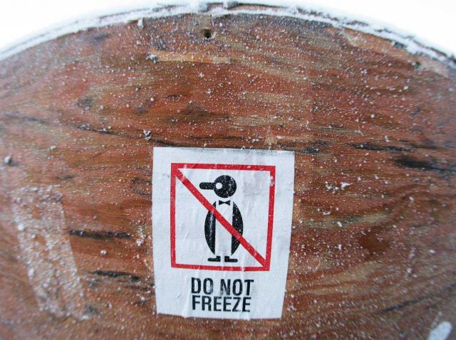 No penguins allowed - maybe do not freeze sign which seems like an exercise in futility Picture