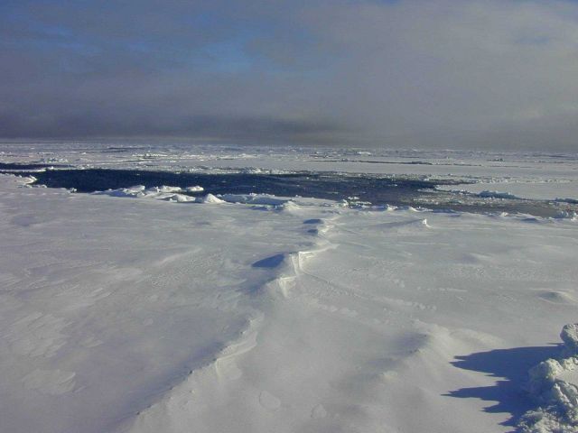 Ice over the Chukchi Plateau. Picture