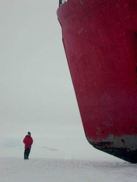 Scientist standing next to the bow of the U.S Picture