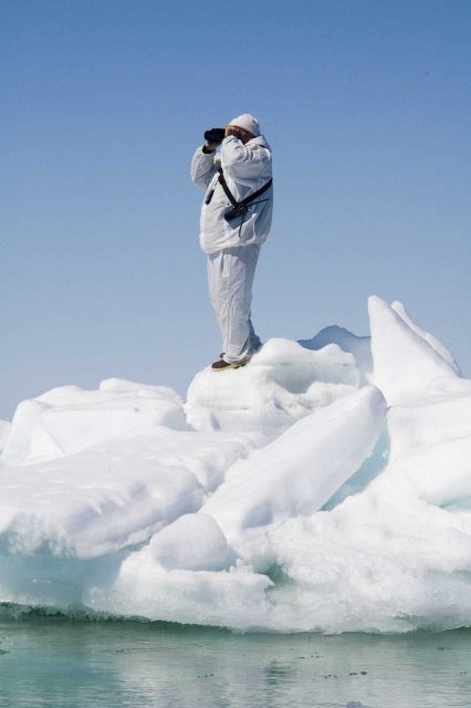 Researcher, standing on an ice floe, looking for a seal to capture. Picture