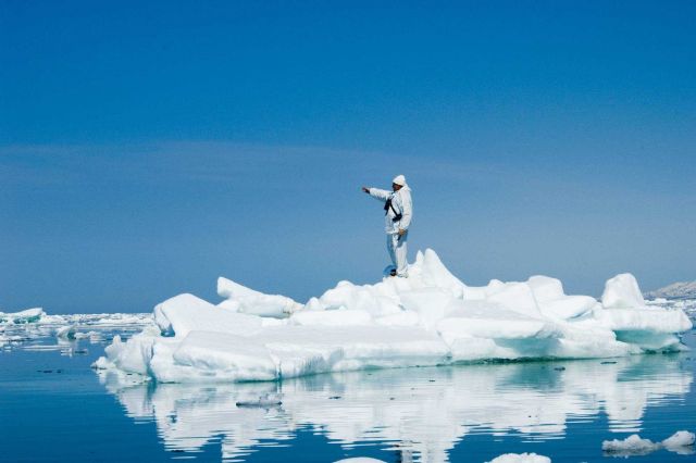 Researcher, standing on an ice floe, pointing at a seal to capture. Picture