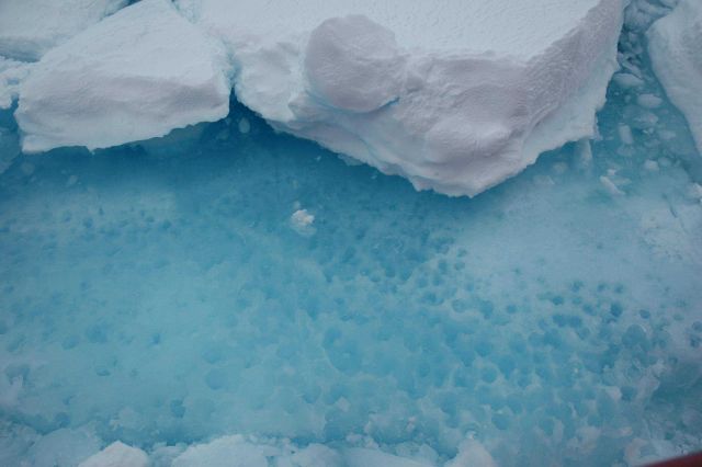 All along the HEALY's track, the ice floes are covered with melt puddles, and the freshwater created by the ice melt can lower the salt content of the Picture