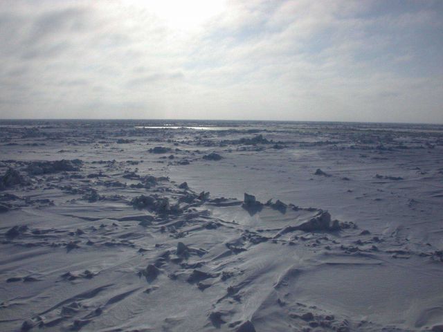 Multi-year sea-ice seen from USCGC HEALY Picture