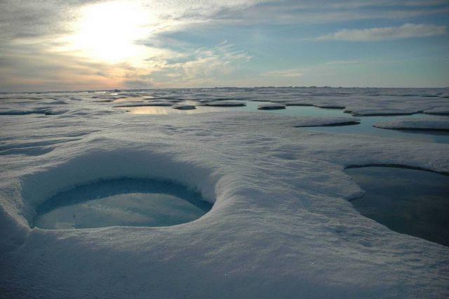 Round melt pools of fresh water on the surface of disintegrating ice flows. Picture