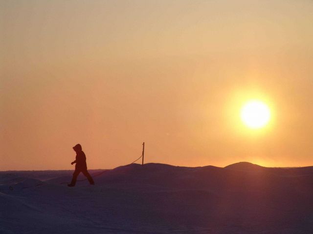 Scientist silhouetted against an orange sky. Picture
