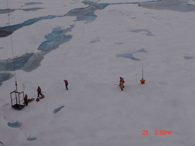 Returning to the CG Icebreaker HEALY after placing ice buoy in position. Picture