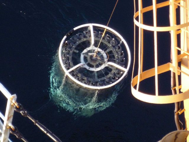 Recovering a CTD (conductivity-temperature-depth) rosette Picture