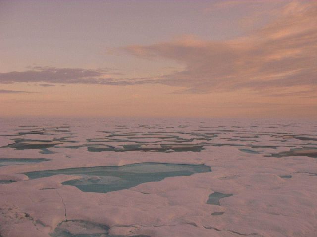 Melt pools and late summer ice absorb the soft hues of a low Arctic sun. Picture