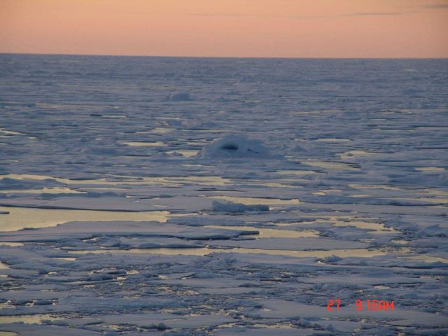 Blocks of ice randomly come together to look somewhat like an igloo. Picture
