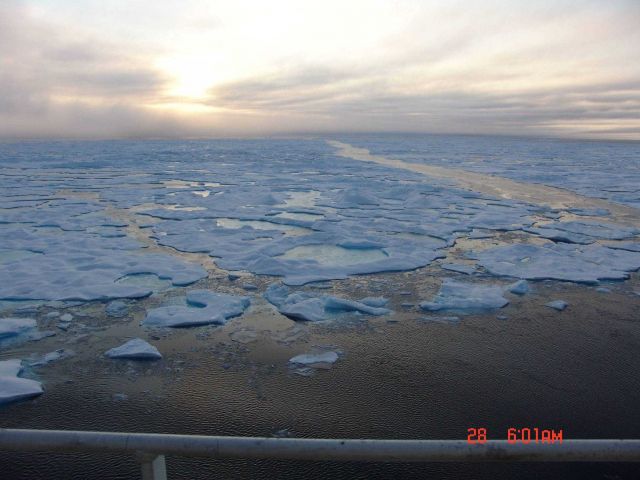 Ice floes, melt ponds and a lead between polynyas. Picture