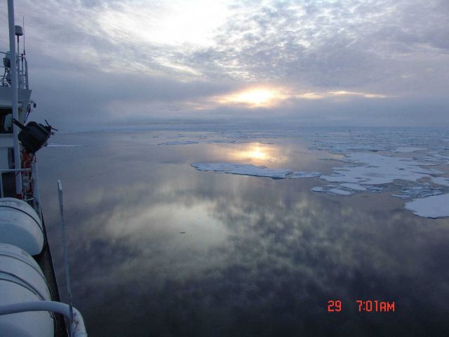 A mackerel sky reflecting off grease ice in a polynya. Picture