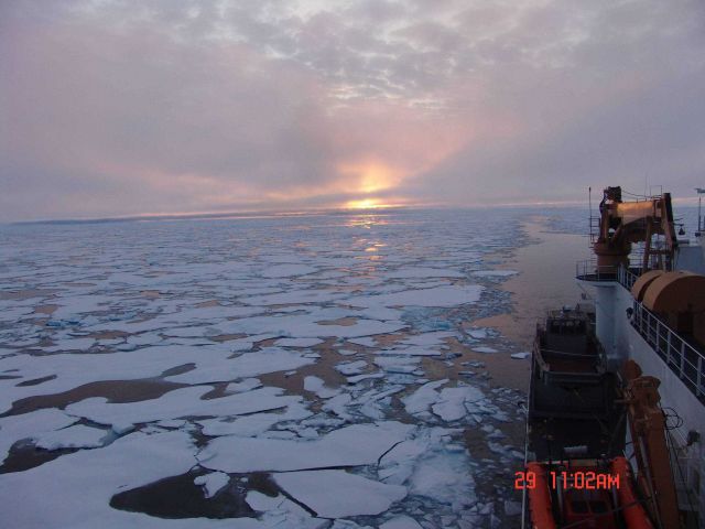 CGC HEALY passing through an extensive field of first year ice. Picture