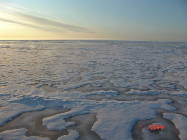 Refreezing melt pools and ice floes with a small polynya in the distance. Picture