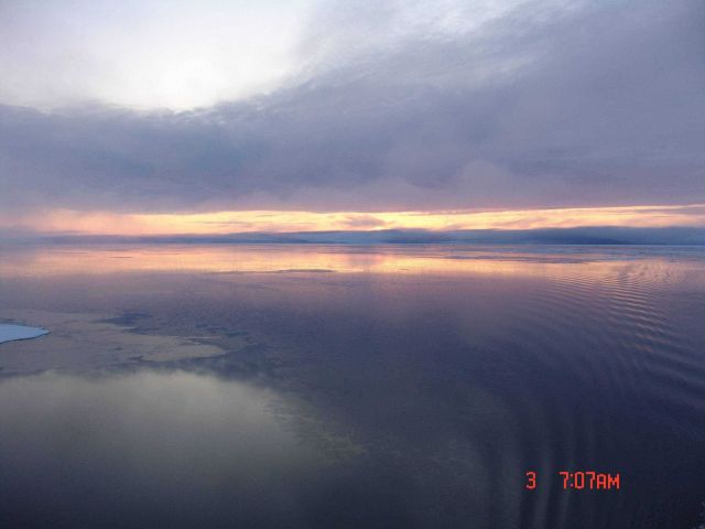 Reflections off grease ice that has formed in a polynya. Picture