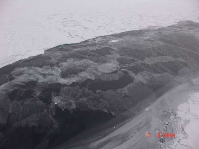 Rafting and interlocking sheets of nilas ice in the refreezing lead. Picture