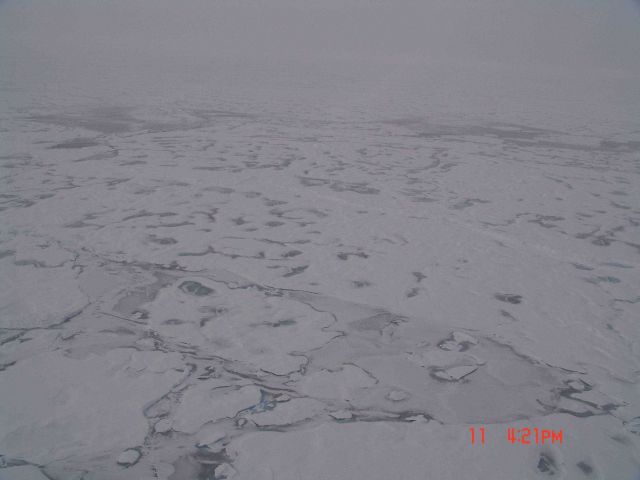 The refreezing pack ice Picture