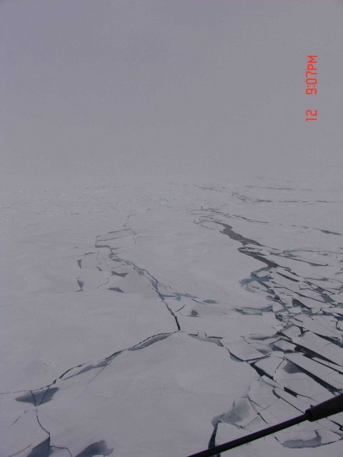 Breaking fracturing ice in a lead Picture