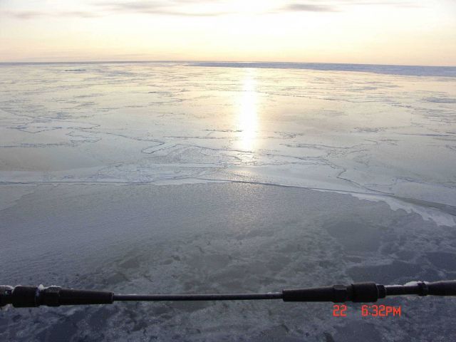 Nilas ice at the edge of the pack ice Picture