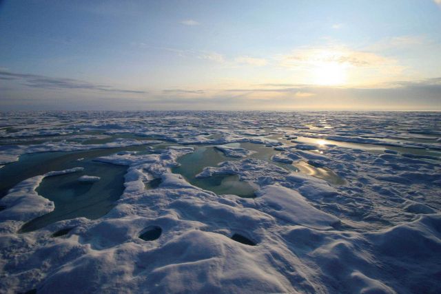 Hummocky ice and melt pools Picture