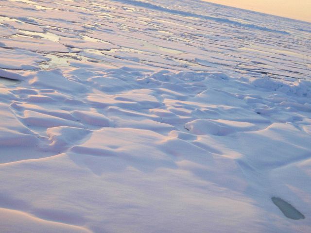 Ice flows starting to freeze together in early fall. Picture