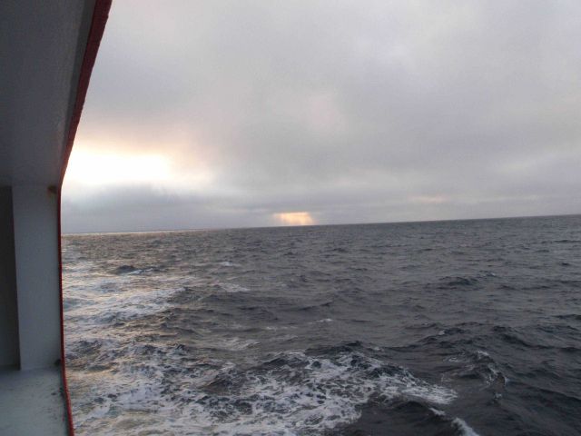 Cruising homeward through open waters south of the pack ice. Picture