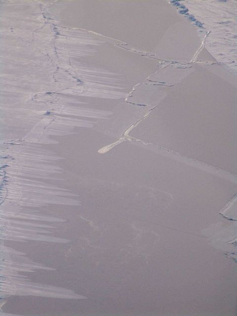 Young ice formed over a lead Picture