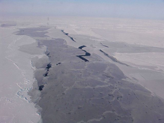 New ice formed in lead. Picture