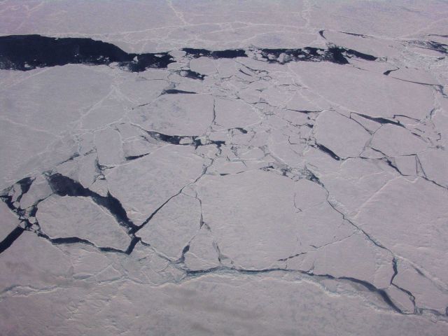 Cracking fracturing ice as a lead opens up. Picture