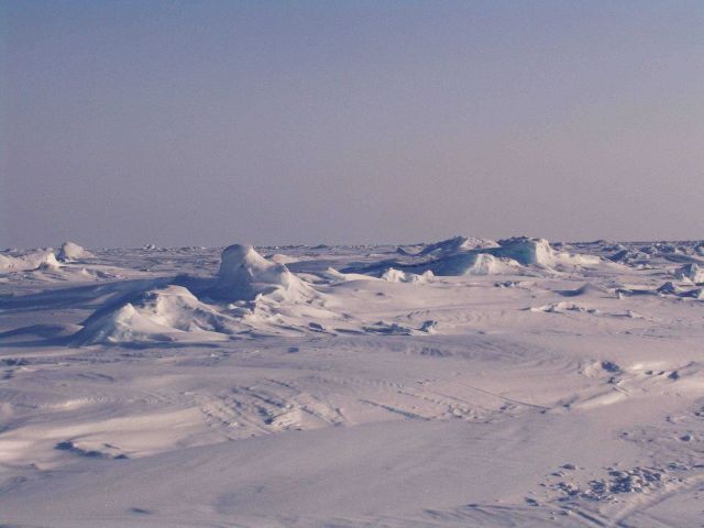 A hummocky surface Picture