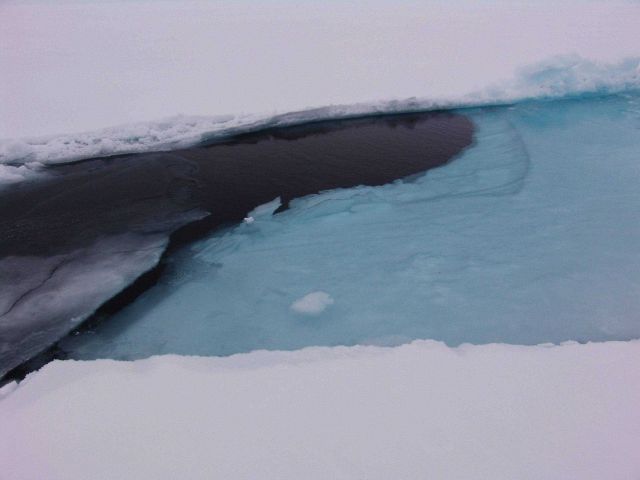 Snow surface of piece of an ice floe that has been pushed under water by the reclosing of a lead. Picture