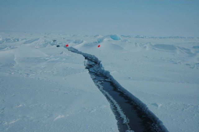 An opening fracture in the ice field Picture