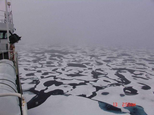 Melt pools and ice floes seen on a foggy Arctic day. Picture