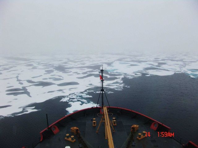Approaching ice floes and melt pools from the edge of a polynya. Picture