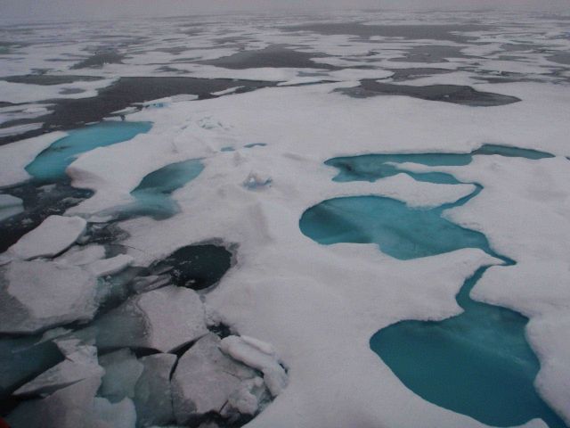Late summer landscape of open water, ice floes and melt pools. Picture