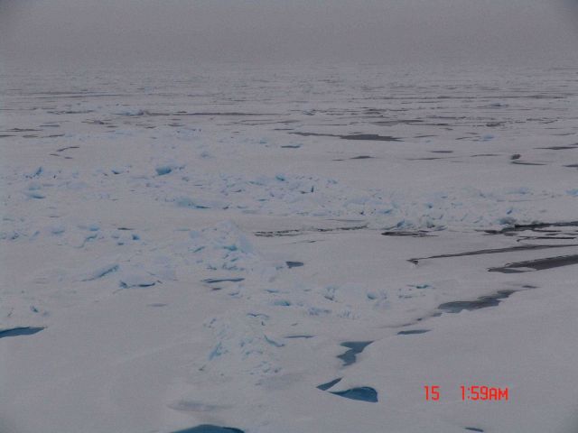 Ice ridges, ice floes, and melt pools in late summer. Picture