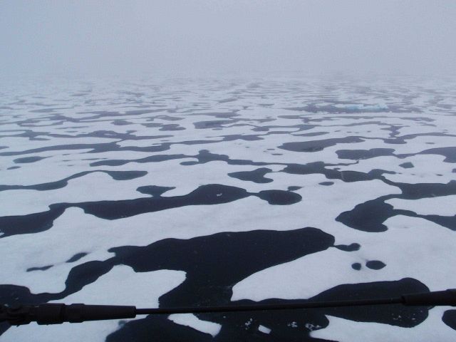 A vast expanse of interlocking melt pools as seen on a foggy misty day. Picture