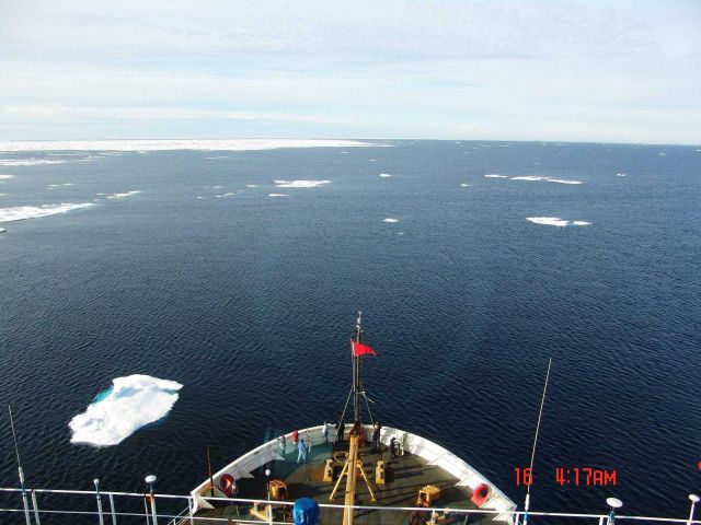 Random ice floes in a large polynya. Picture