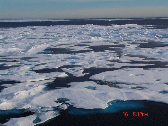 Ice floes, melt pools, and remants of ridges Picture