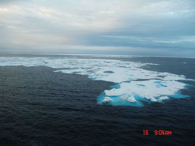 An ice floe in a large polynya. Picture