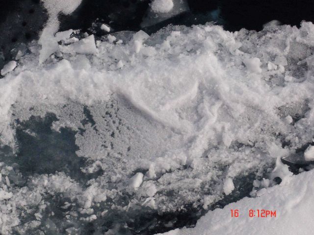 Brash ice Picture