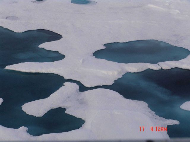 Ice floes and melt ponds with surface frozen over Picture
