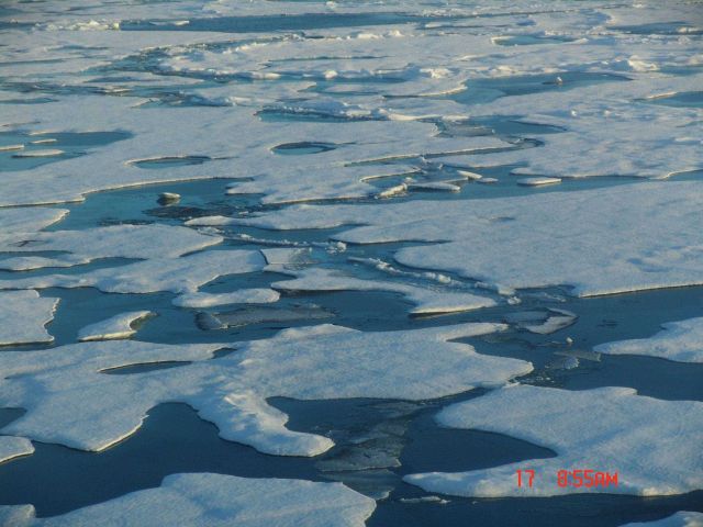 Ice floes and melt pools Picture