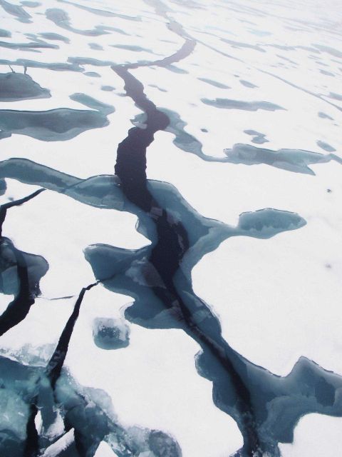 A fracture extending through an area of 2nd to multi-year ice with elliptical melt ponds. Picture