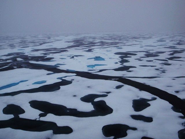 A fracture extending through an area of 2nd to multi-year ice with elliptical melt ponds. Picture