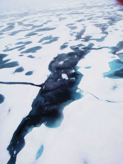 A large melt pond in 2nd to multi-year ice. Picture