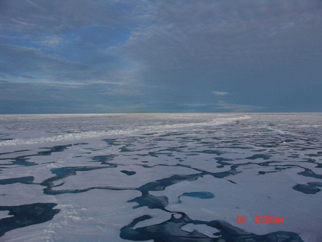 Ice floes with melt ponds separated by a linear ridge extending to the horizon. Picture