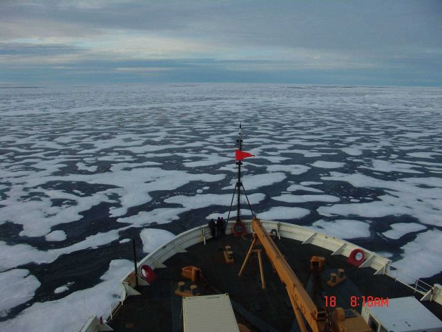 Ice floes and melt ponds in late summer. Picture