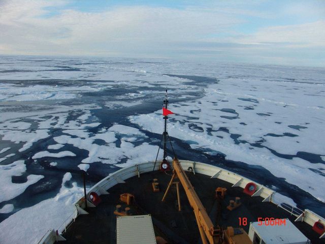 Ice floes, melt ponds and a small lead in late summer. Picture