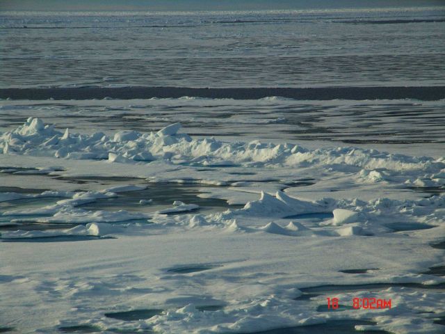 Relative thick 2nd year to multi-year ice separated from newer thinner ice by a small ice ridge Picture