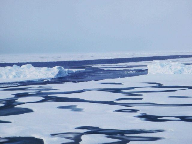 A ridge broke by a lead in an area of elliptical melt ponds with another larger lead cutting diagonally across the image. Picture
